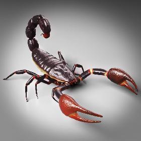 scorpion rigged animated